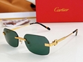 2025 new hot Cartie CT0271 sunglasses top quality Sunglasses Sun glasses glasses