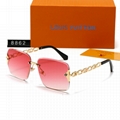 Hot Top quality               8862/8863 Sunglasses Sun glasses fashion glasses 20