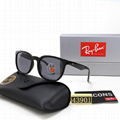 Hot Top quality RB 43901 Sunglasses Sun glasses fashion glasses 10