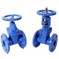 Resilient Seat Gate Valve 1