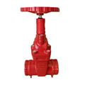 Cast Iron Pressure Groove End Gate Valve 1