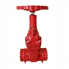 Cast Iron Pressure Groove End Gate Valve