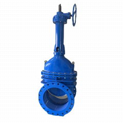 Ductile Iron Metal Seat Gate Valve