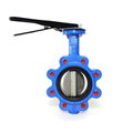 Lug Type Butterfly Valve