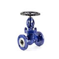 Rising Stem Globe Valves 1