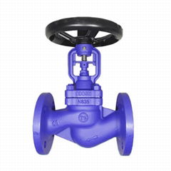 Bellows Globe Valve