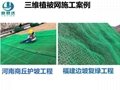 厂家全国发货 三维植被网 护坡固土复绿 三维土工网垫 