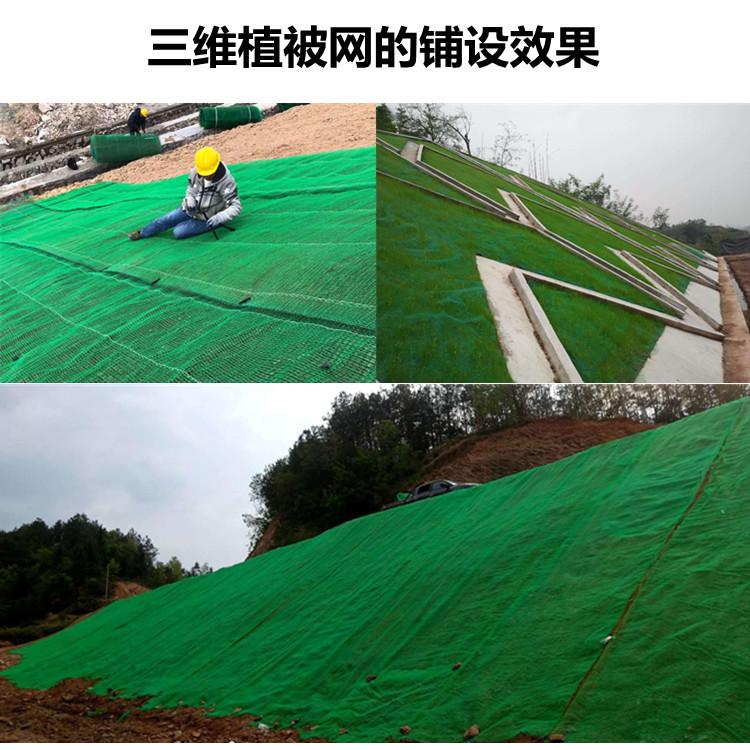 廠家全國發貨 三維植被網 護坡固土復綠 三維土工網墊  5