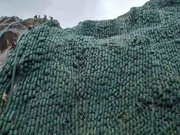  高品质草籽生态袋 公路护坡 荒山修复生态袋子 厂家发货 5