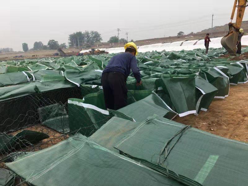  土工固袋 格拉威袋 土工石笼袋 河道边坡治理 厂家发货 5