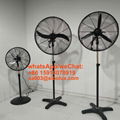 26inch 30 inch industrial pedestal fan/electric ventilador standing fan 2