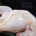 鴻月燉湯老母雞老母雞白條雞 散養土雞老母雞廠家直銷 5