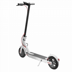 BEST HOT SELLING POPULAR 10″ ELECTRIC SCOOTER