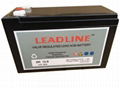 LEADLINE蓄电池EVR12120应急能源 5