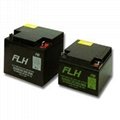 古河蓄电池FPX1217012V17AH热容量大 4