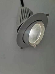 Gimbal LED Down Light