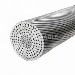 ACSR Aluminum Conductor Steel Reinforced