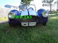 1500W mini hot rod mini car electric car  1