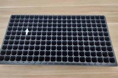 Seedling tray seed propagator for seed starter 200B cell
