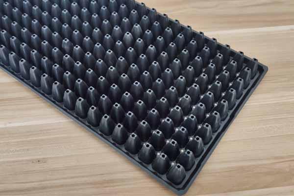 Seedling tray seed propagator for seed starter 200B cell 2