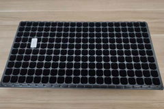 Seedling tray seed propagator for seed