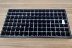 Seedling tray seed propagator for seed