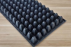 Seedling tray seed propagator for seed