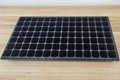 Seedling tray seed propagator for seed starter 98 cell 2