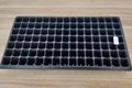 Seedling tray seed propagator for seed starter 98 cell 6
