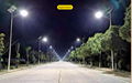 solar street lamp 60W 80W 100W 40W 30W