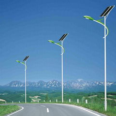 lithium battery solar street light with pole