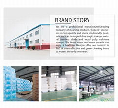 Henan Topec Clean Import&Export Co., Ltd