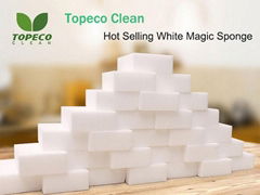 Direct Factory Wholesale Household Cleaning Sponge