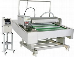 Automatic Vacuum Packaging Machine With