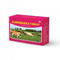 JOYCOME Albendazole Tablet