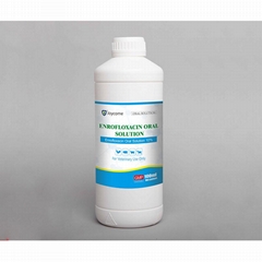 Enrofloxacin Oral Solution 10% for Gram-Negative Bacteria