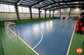 Prefabricated Steel Indoor Sports Buildings/Steel Structure Gymnasium Design 3