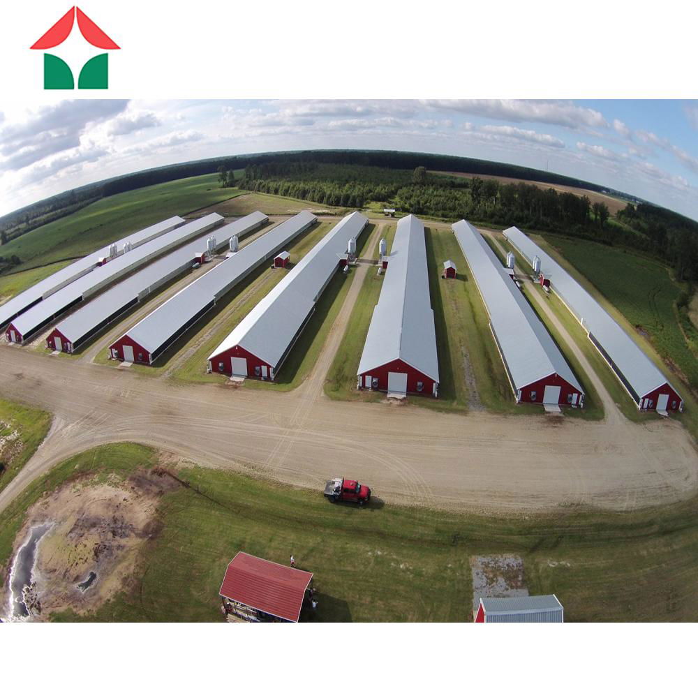 prefabricated steel structure poultry farm building shed chicken broiler house