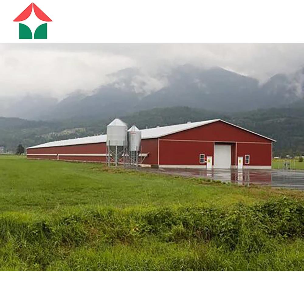 prefabricated steel structure poultry farm building shed chicken broiler house 2