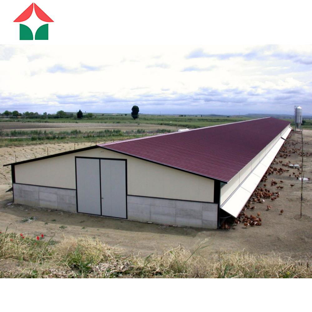 prefabricated steel structure poultry farm building shed chicken broiler house 4