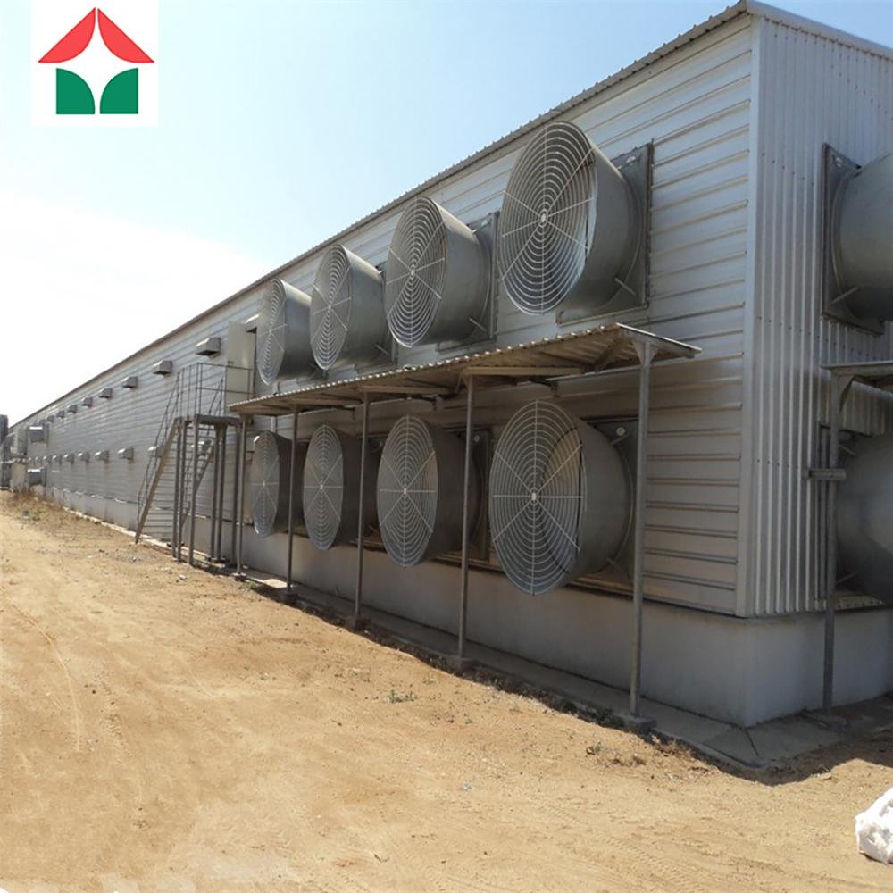 prefabricated steel structure poultry farm building shed chicken broiler house 5