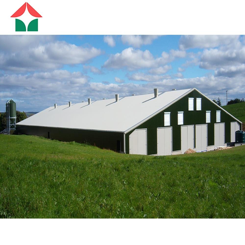steel structure Poultry farming building shed chicken farm house