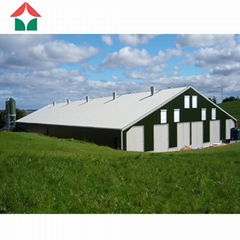 steel structure Poultry farming building shed chicken farm house