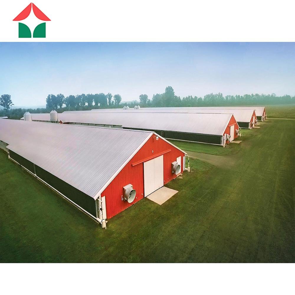 steel structure Poultry farming building shed chicken farm house 2