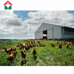 Chicken House Steel Structure Building Steel Structure Poultry Shed