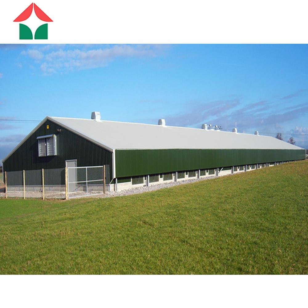 Chicken House Steel Structure Building Steel Structure Poultry Shed 2