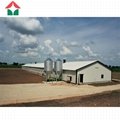 Chicken House Steel Structure Building Steel Structure Poultry Shed 3