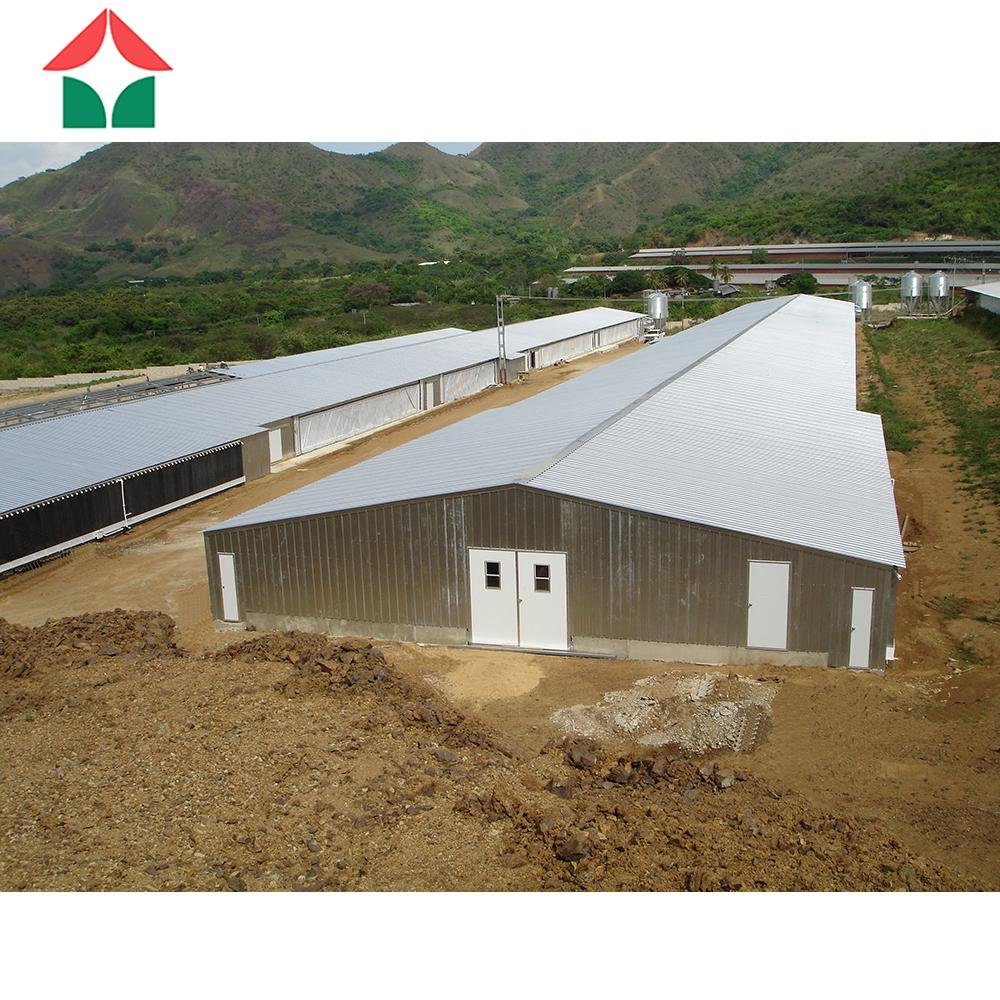 Chicken House Steel Structure Building Steel Structure Poultry Shed 4