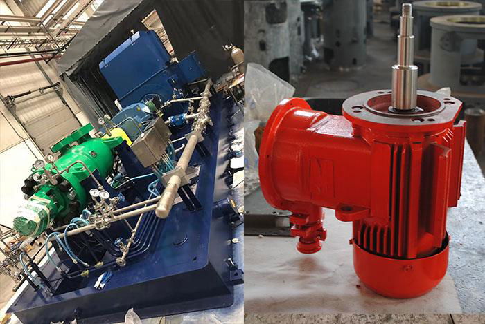 China Petrochemical Pump Manufacturer-Oil pump