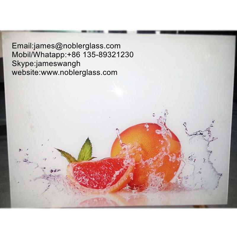 China Digital Printing Glass with competitive price 2